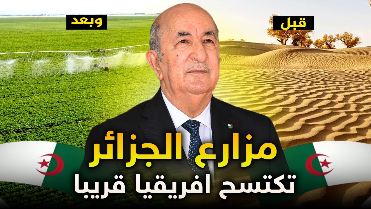 كيف نجحت الجزائر في تحويل الرمال إلى ذهب أخضر؟ قصة الصعود الزراعي الكبير!