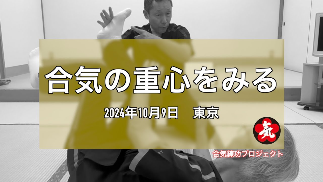合気の重心をみる20241009 東京