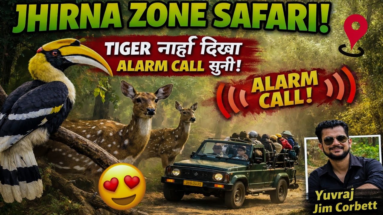 Tiger ka intezar 😳 Jhirna Zone ka full suspense safari #yuvrajjimcorbett 