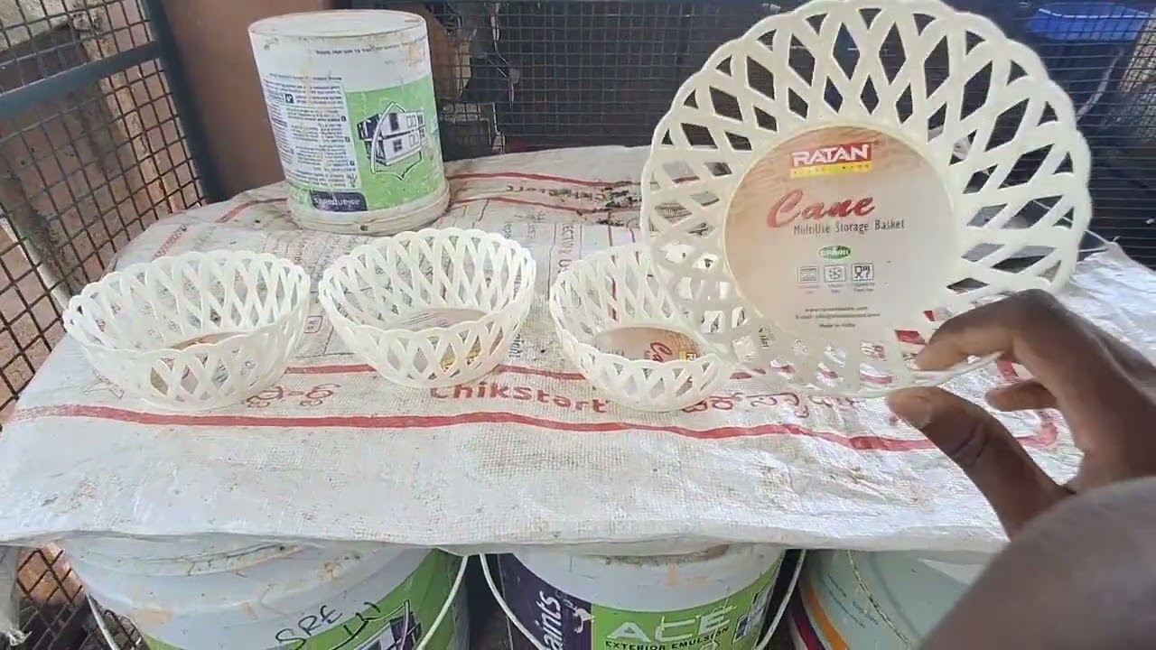 Hi friends 🧡 New update!Our Diamond Dove cage video — watch the full video 🎥🕊️ #BNANIMALSSHOP