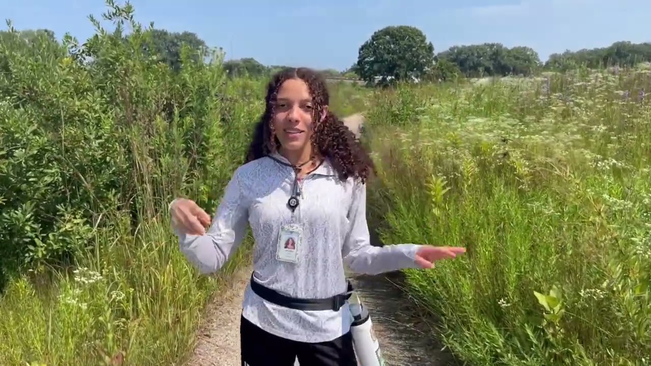 A Pollinator Safari in Dixon Prairie