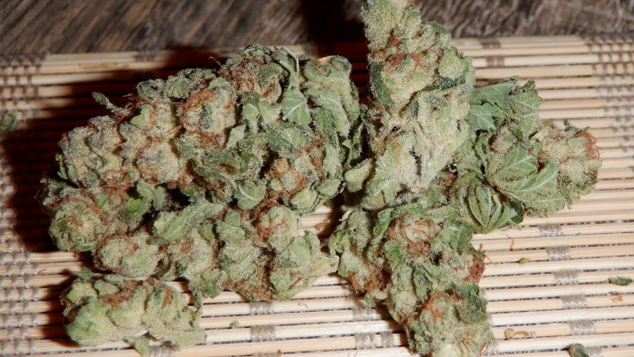 Strain Review Black Cherry Punch By FIGR