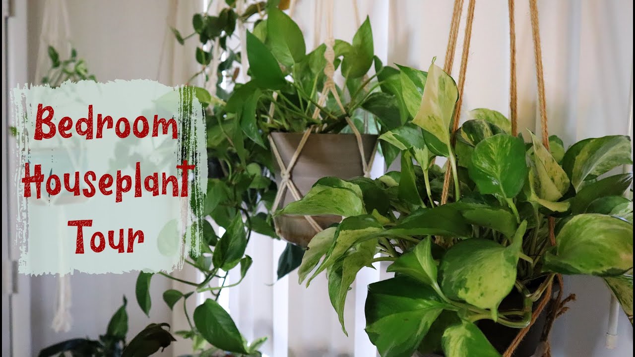Spring 2021 Bedroom House Plant Tour