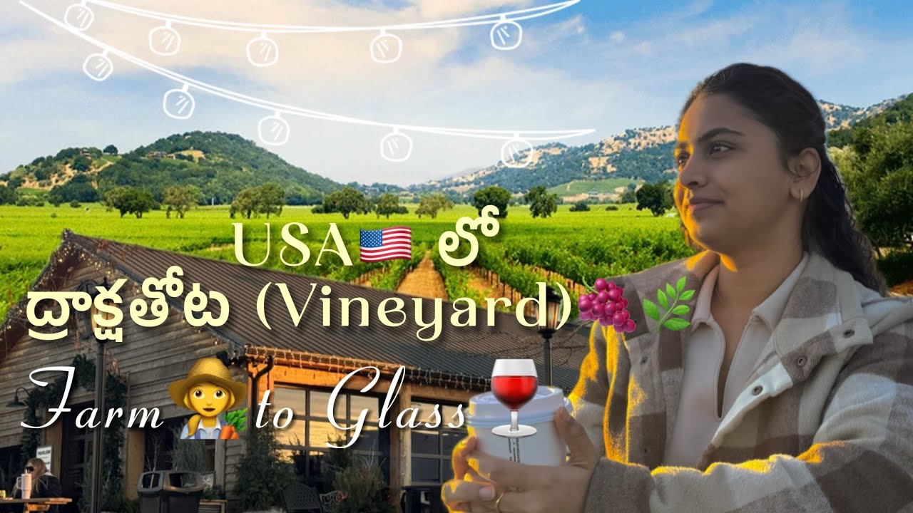 ద్రాక్ష తోటల మధ్య ఓ Relaxing Day 🍇 | Exploring Vineyards🌿| ఇన్ని రకాల wine‌’s ఉంటాయా?” 🍷😱