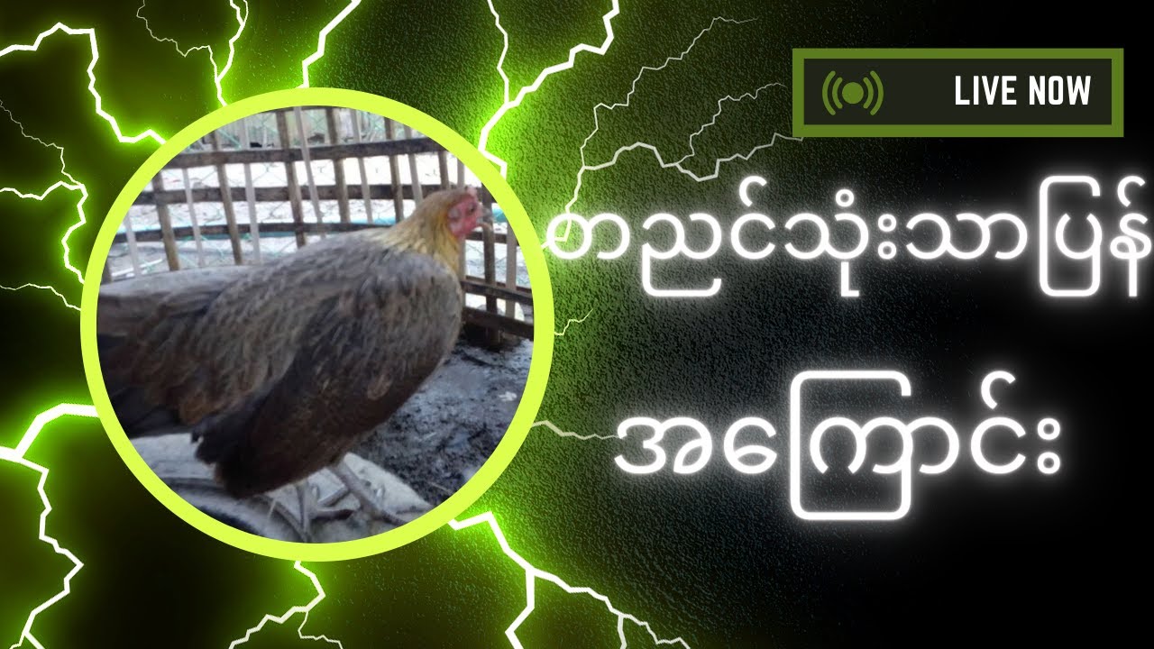 တိန်ညင် သုံးသားပြန်