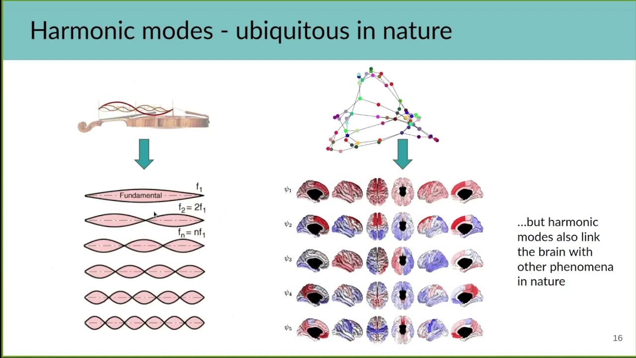 Lecture 2 4   Connectome Spectral Analysis   Katharina Glomb