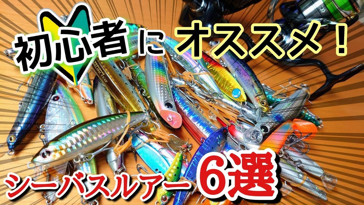 【初心者必見】最強シーバスルアー６選！これで釣れなきゃ魚は居ない!?