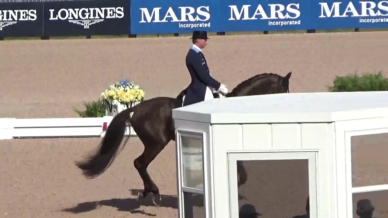 Patrik Kittel & Well Done de la Roche CMF_WEG Tryon Grand Prix 2018