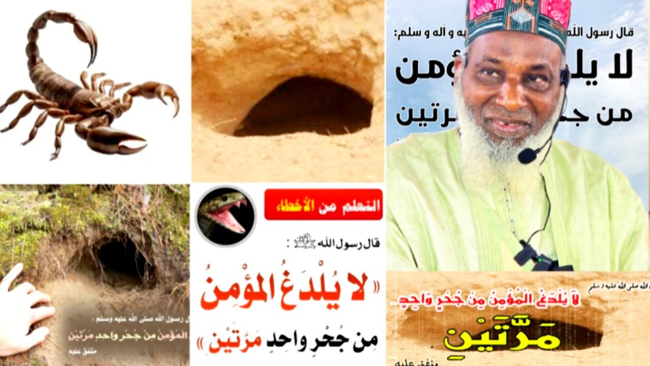 🛑 Djouldho Fidheétaake Laabi Dhidhi Et Gayka, شرح رياض الصالحين لا يلدغ المؤمن من جحر مرتين