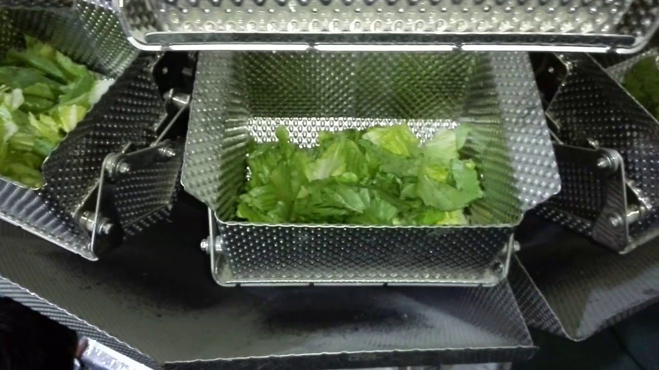 smart vegetable salad electronic scale