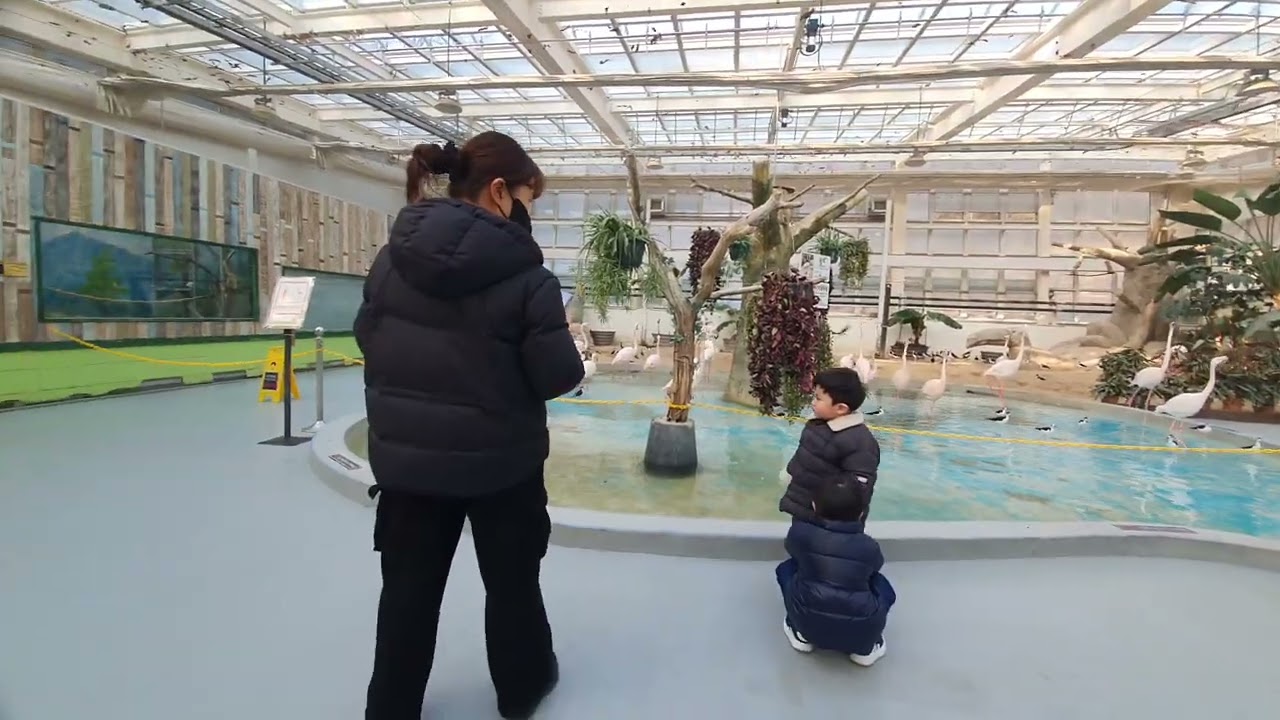 버드랜드
