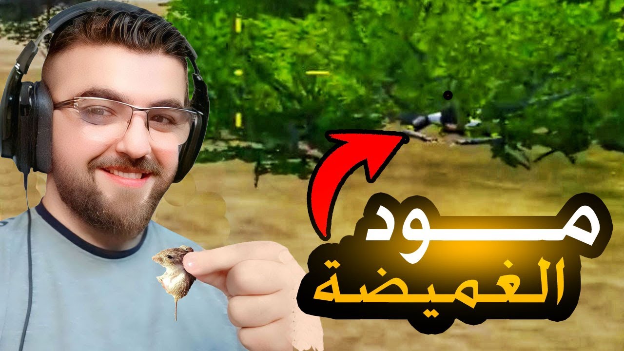 البحث عن الفئران ببجي موبايل