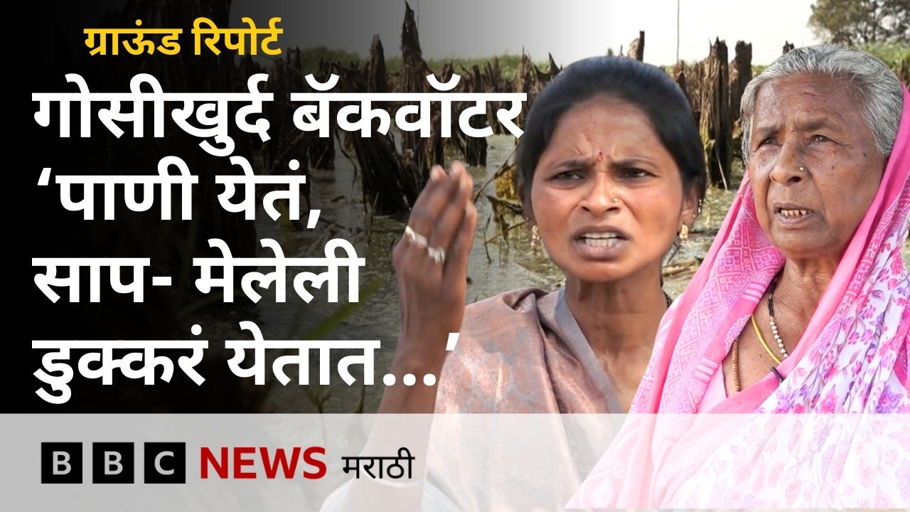 गोसीखुर्दच्या बॅकवॉटरमुळे फेब्रुवारी महिना असूनही लोकांच्या शेतात, घरात पाणी का शिरतंय?