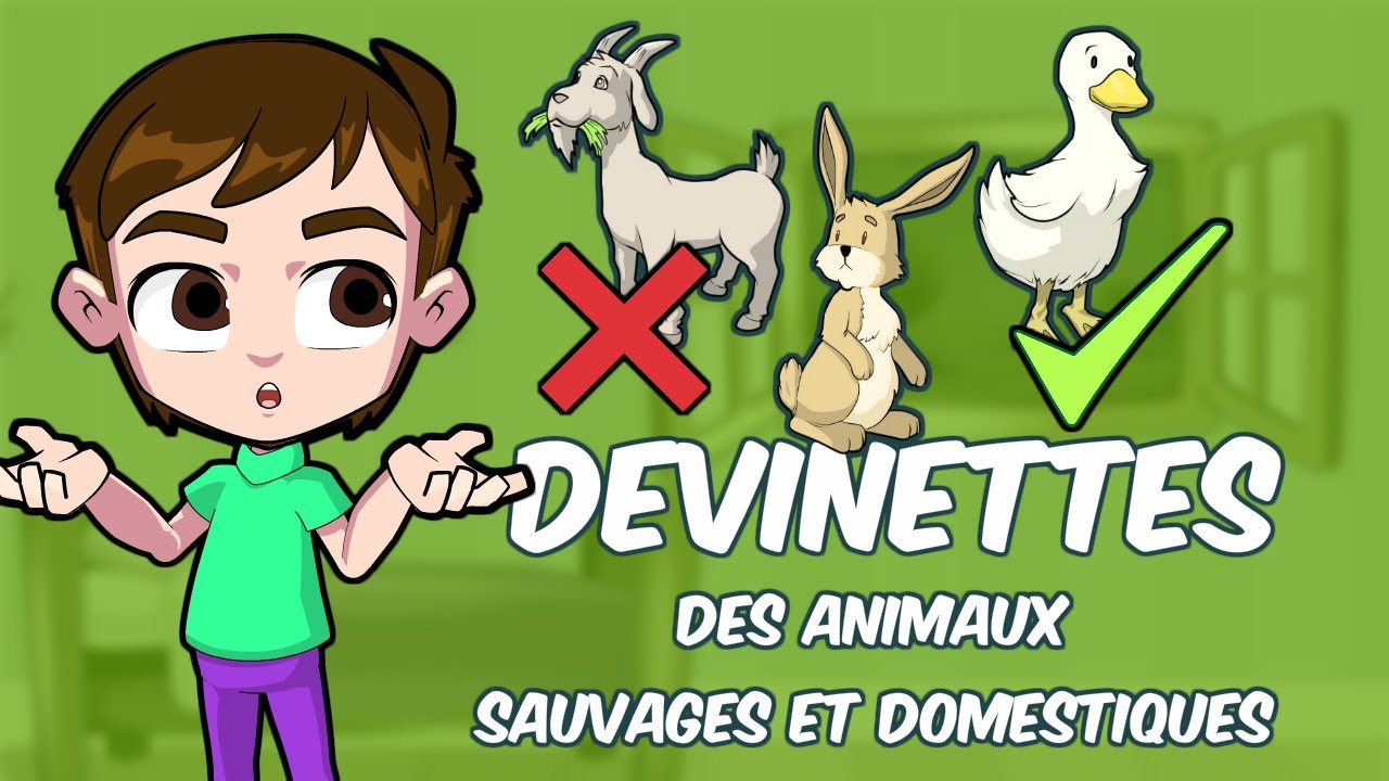 Devinettes: les animaux sauvages et domestiques/ description d'un animal/ Riddles about animals