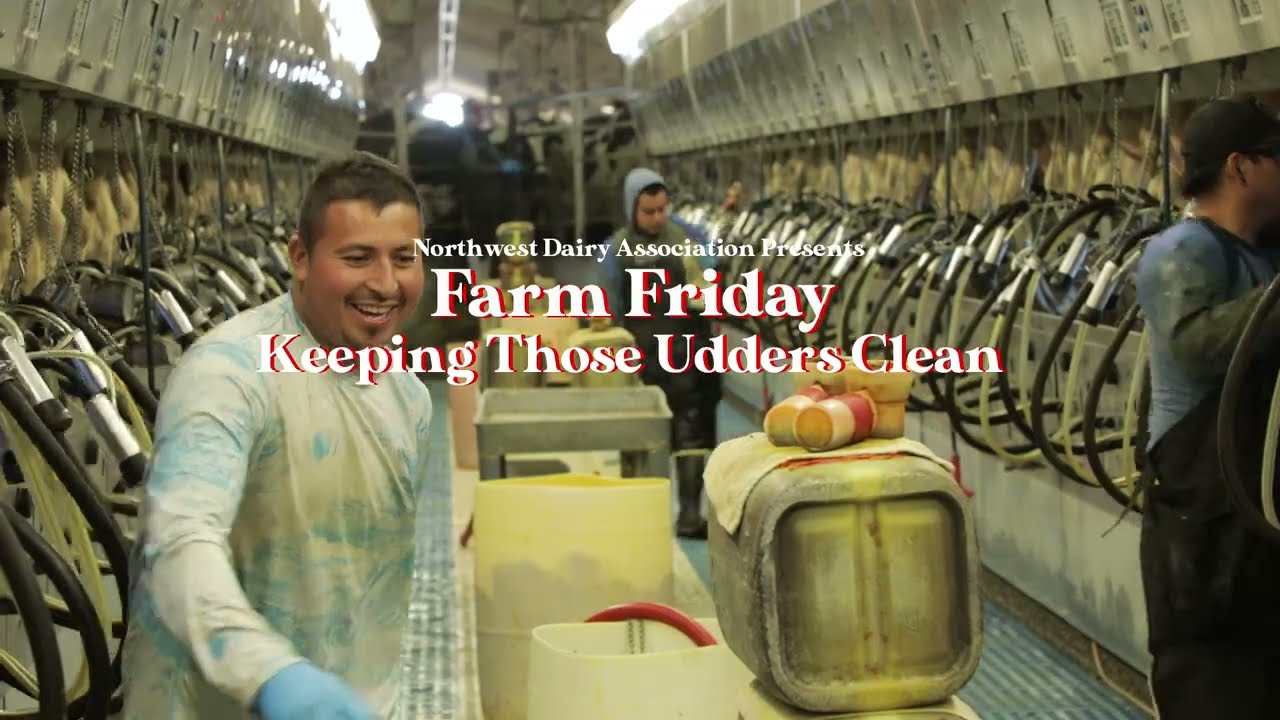 Farm Friday: Keep Those Udders Clean