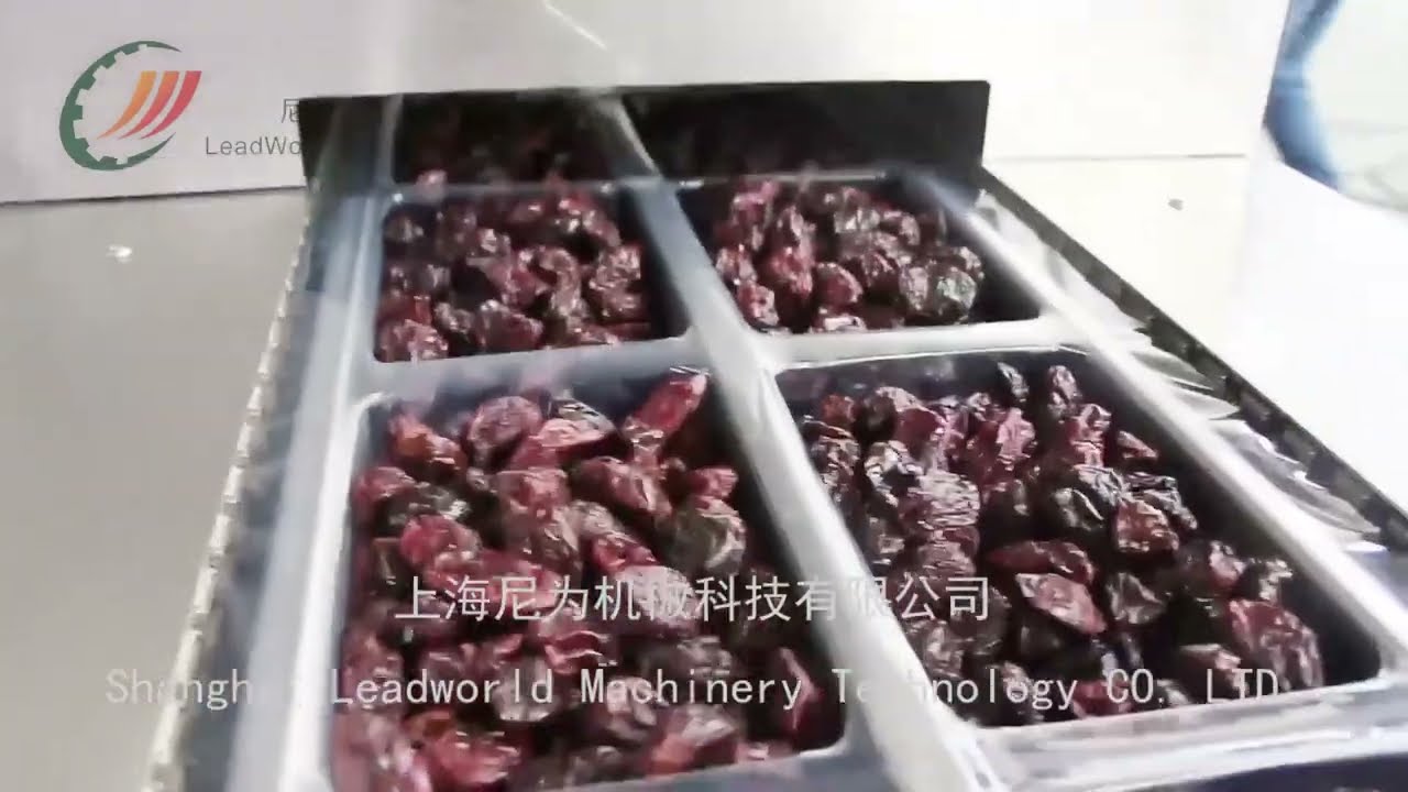 Date palm vacuum packing machine + pressing mechanism +water filling