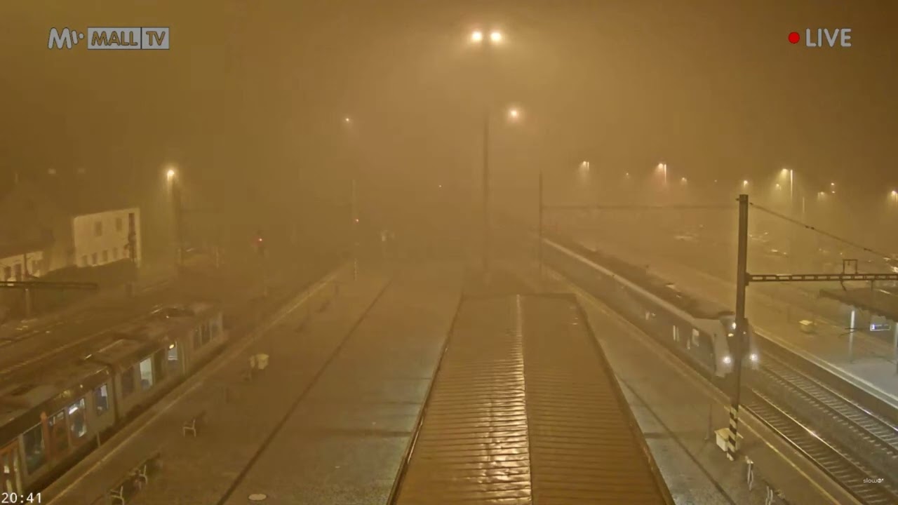 Hlášení a vlak Ústí nad Orlicí - R 860+R 897 + Vlak málem jel bez průvodčího :D 25.11.2022 [HaVIS 3]