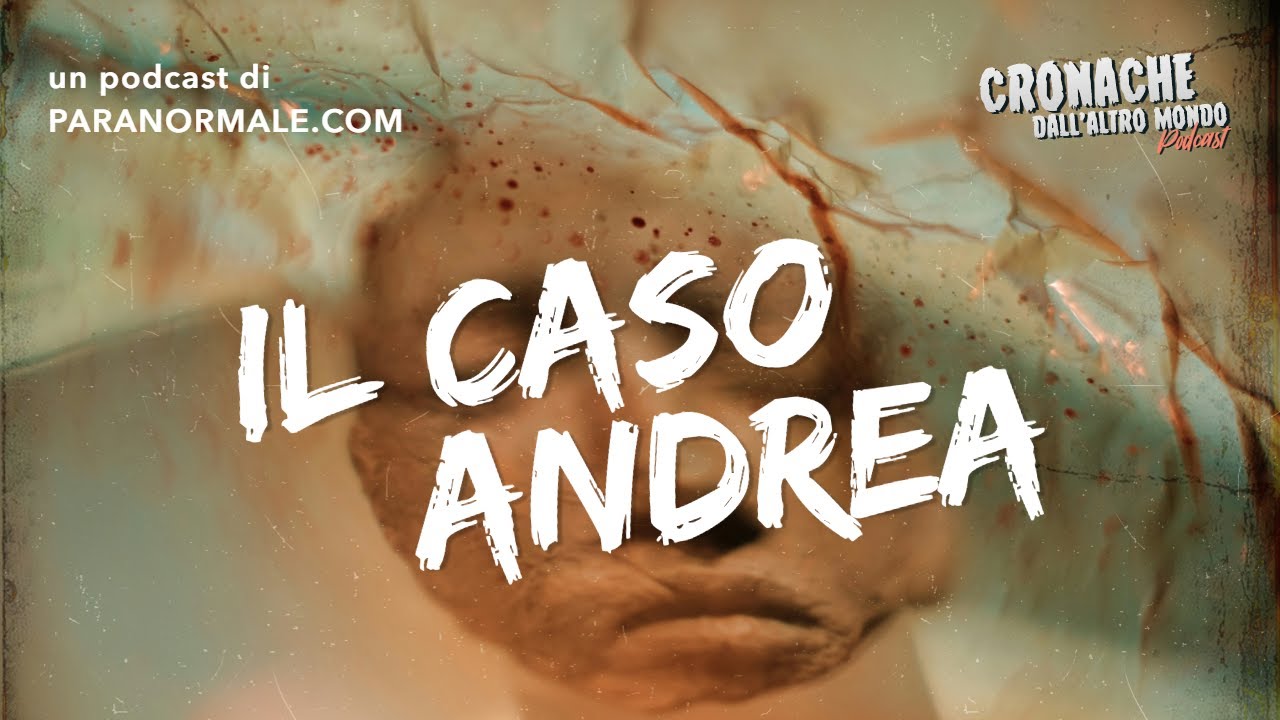 Il caso Andrea Sardos Albertini, un anno dopo