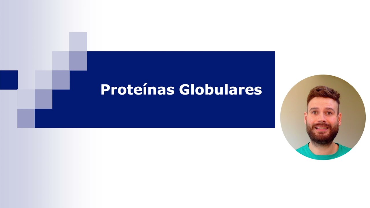 Proteínas Globulares