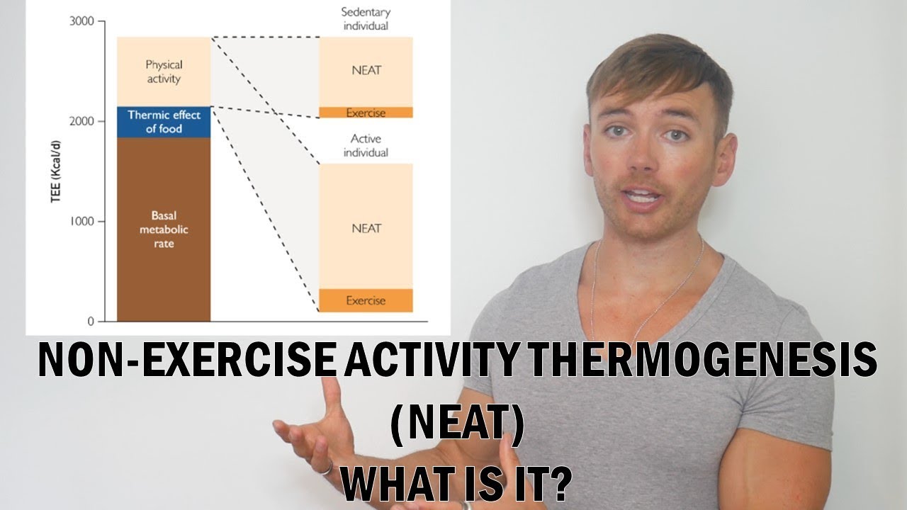 What Is NEAT (Non-Exercise Activity Thermogenesis)?