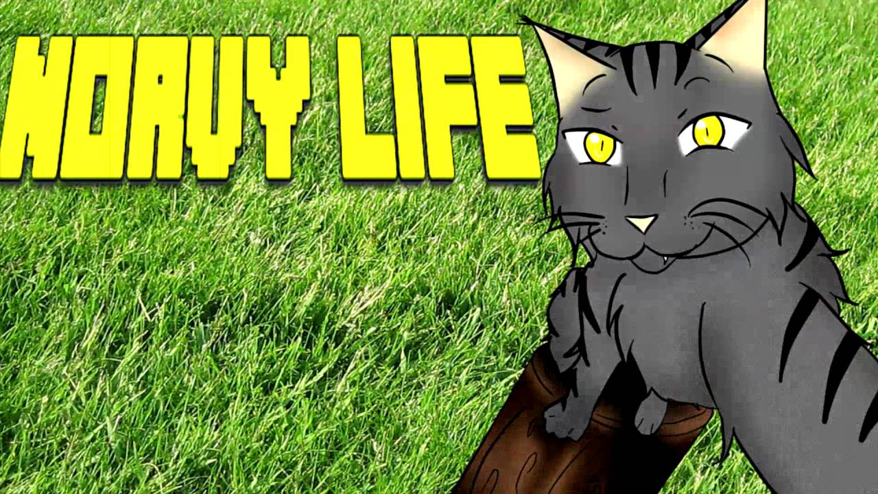 『Norvy life』 ~ norvy fa i selfie