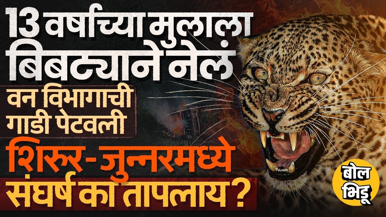 Shirur Leopard Attack: बिबट्याच्या हल्ल्यात मुलाचा मृत्यू, गावकरी आक्रमक, मानव बिबट्या संघर्ष का ?