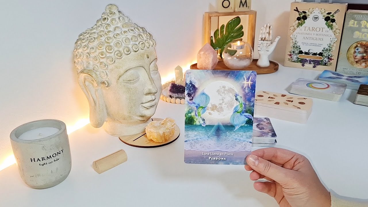 ✨️🪽&iquest;QU&Eacute; NECESITAS SABER AQU&Iacute; Y AHORA?🪽✨️ TAROT INTERACTIVO 🪷