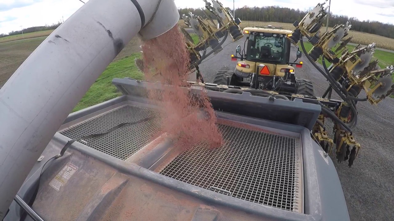 Soil Warrior - Fall Strip till with Challenger mt765D