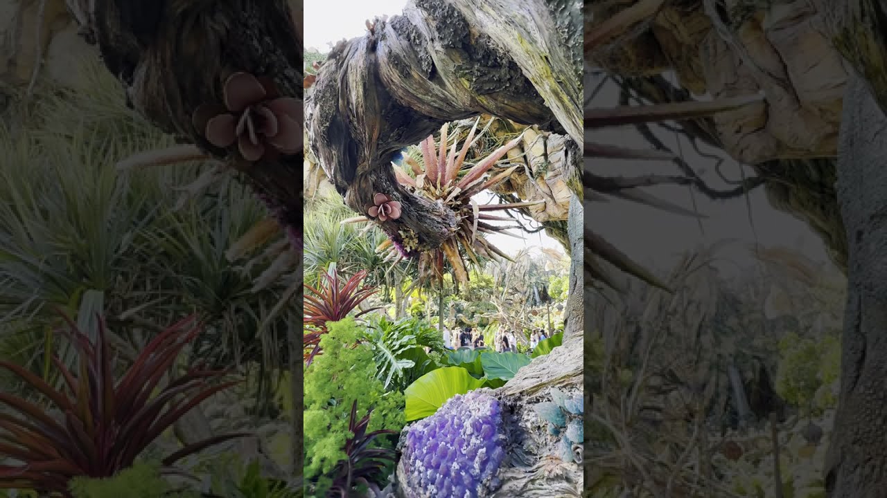 (4K) WALKTHROUGH Pandora - The World of Avatar • Day & Night at Animal Kingdom