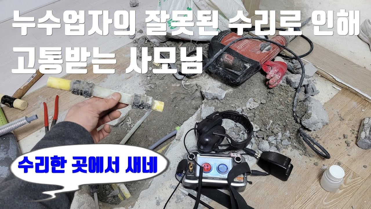 세입자한테 치이고 누수업자를 잘못 만나서 쌍코피 터진 사모님.제가 구해 드렸습니다