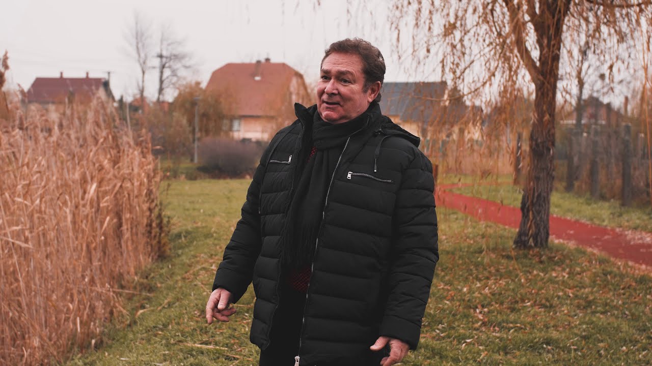 Sebestyén Tamás - Hull az elsárgult levél...