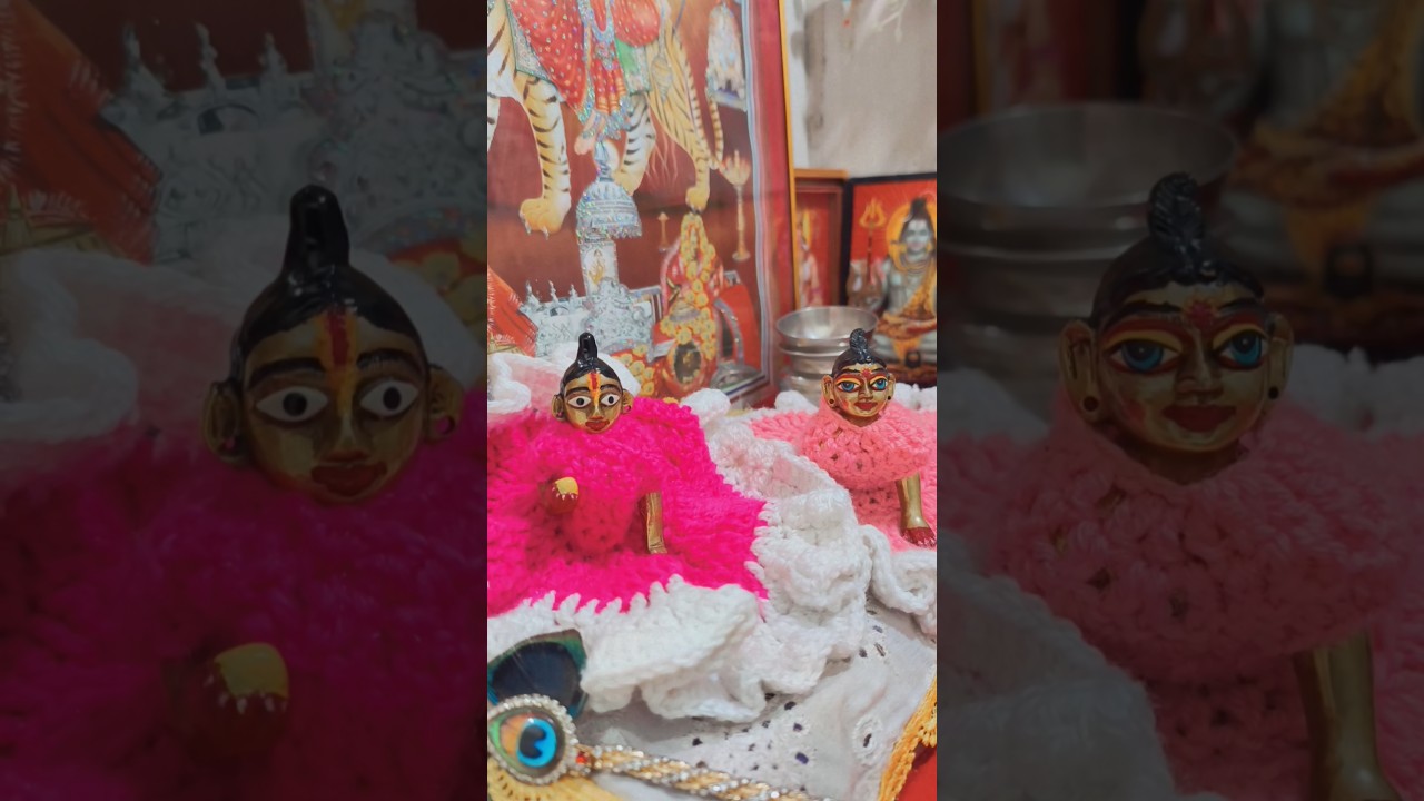 Mujhpe chadda krishn ka rang ❤🙏🏻😍 laddu radhika 