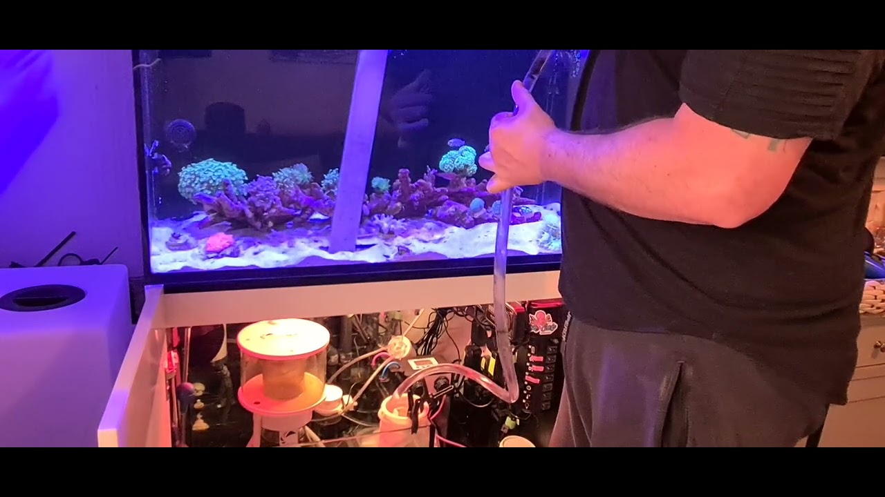 Reef Tank Maintenance on   [ Sand Bed ]