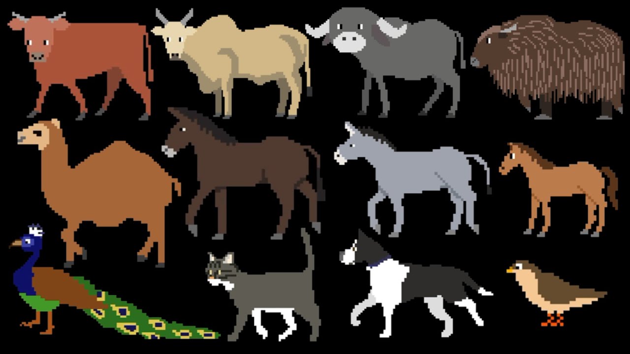 Farm Animals 2 - @TheKidsPictureShow