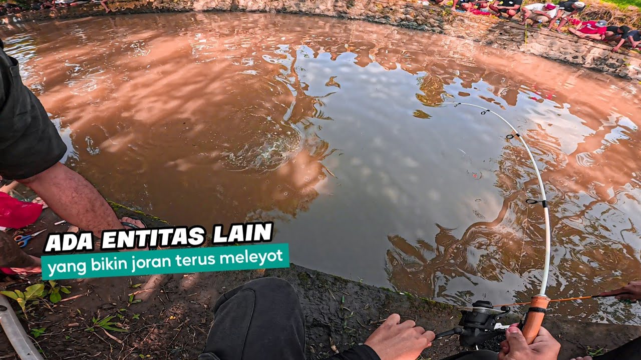 SPAM WADER PUN SPAM LELE‼️Lomba Mancing Minggu Ini Di Spot Terluas Yang Pernah Aku Ikuti