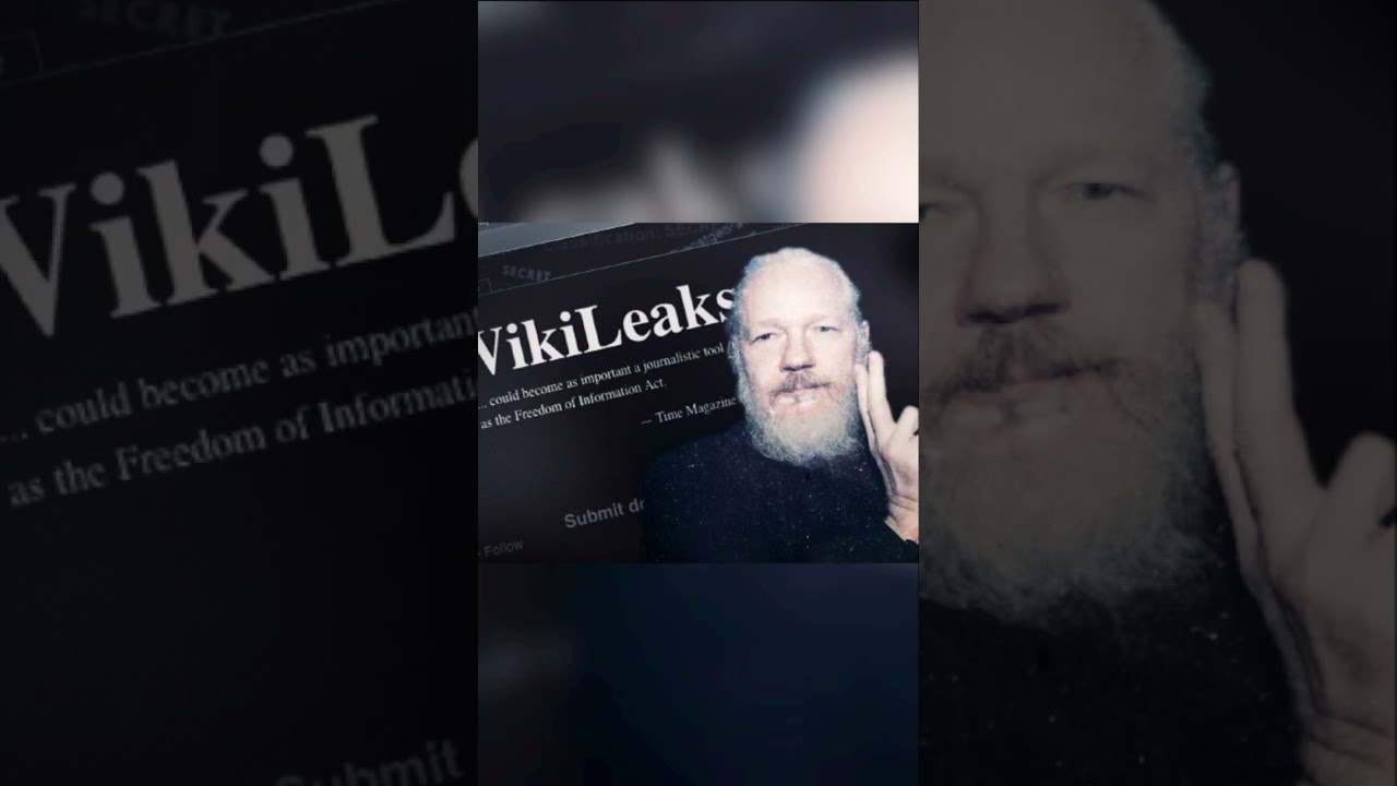Wiki Leaks short