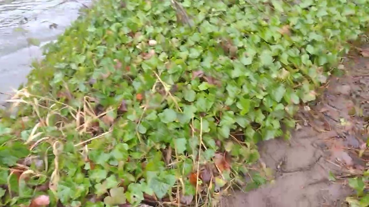 Just keep casting and moving
