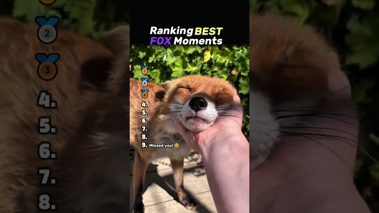 Рейтинг ЛУЧШИХ моментов с ЛИСОЙ Core🦊 #лиса