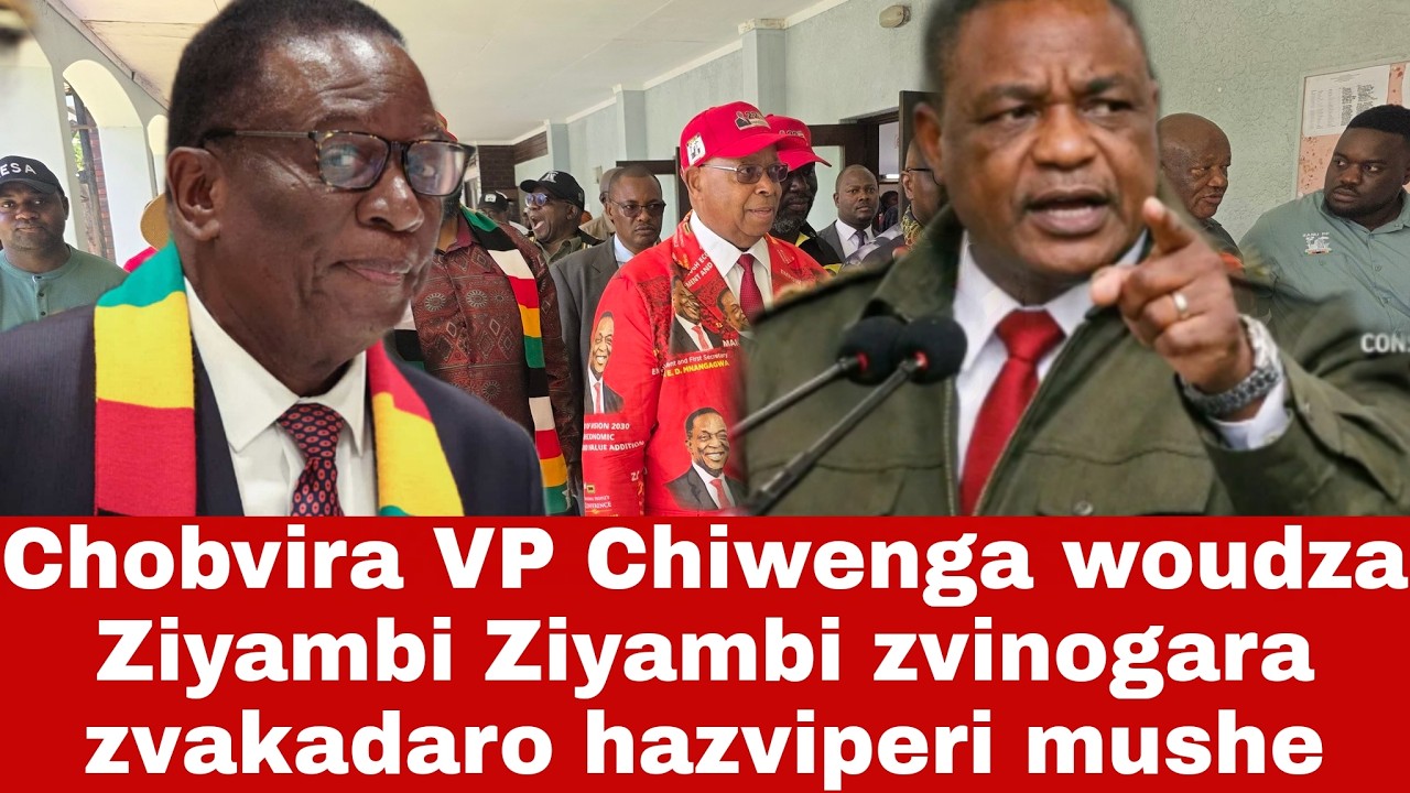 Chachaya VP Chiwenga woudza Ziyambi Ziyambi zvinogara zvakadaro hazviperi mushe