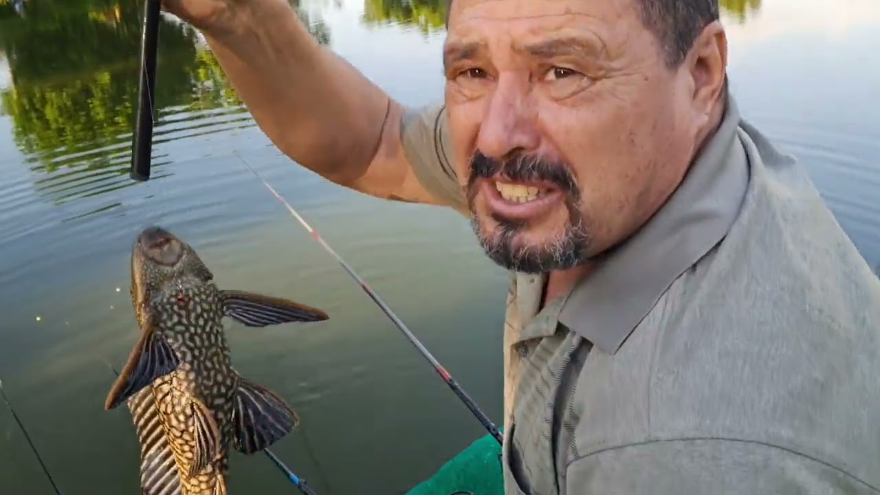 DOMINGO DE TARDESINHA FUI PESCAR NA LAGOA SAIU MUITA TILAPIA 