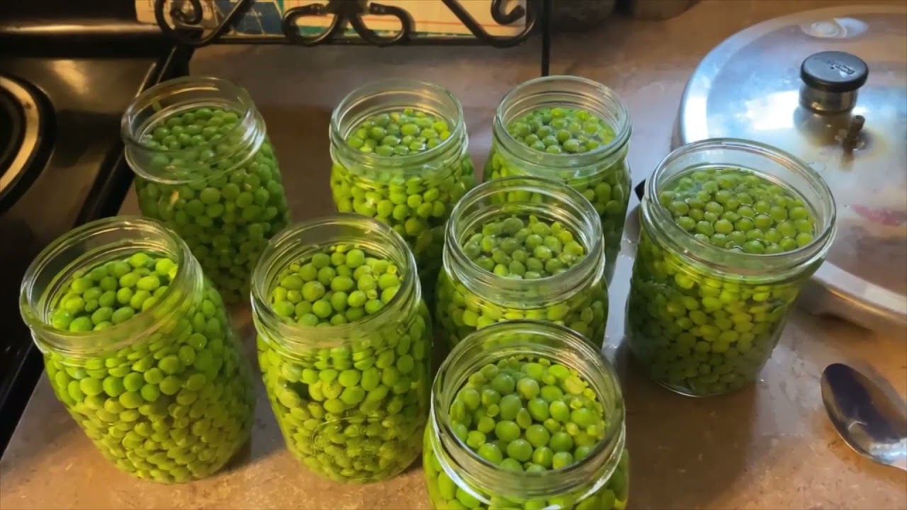 Canning Peas