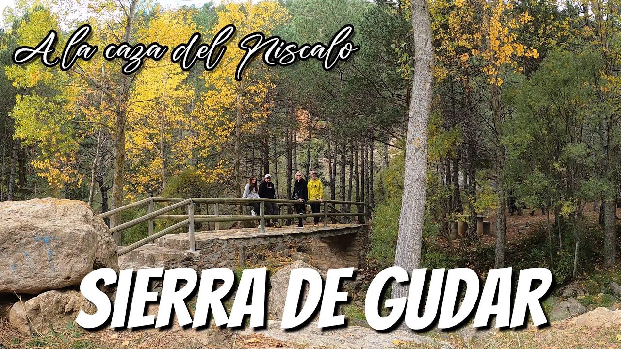 🪳🍀🍁 Sierra de Gudar en Furgoneta Camper 🚐. 4K