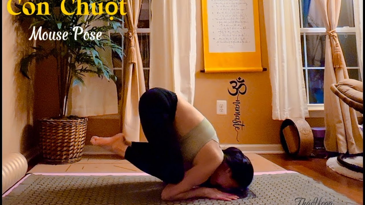 Chuột (Mouse Pose) 