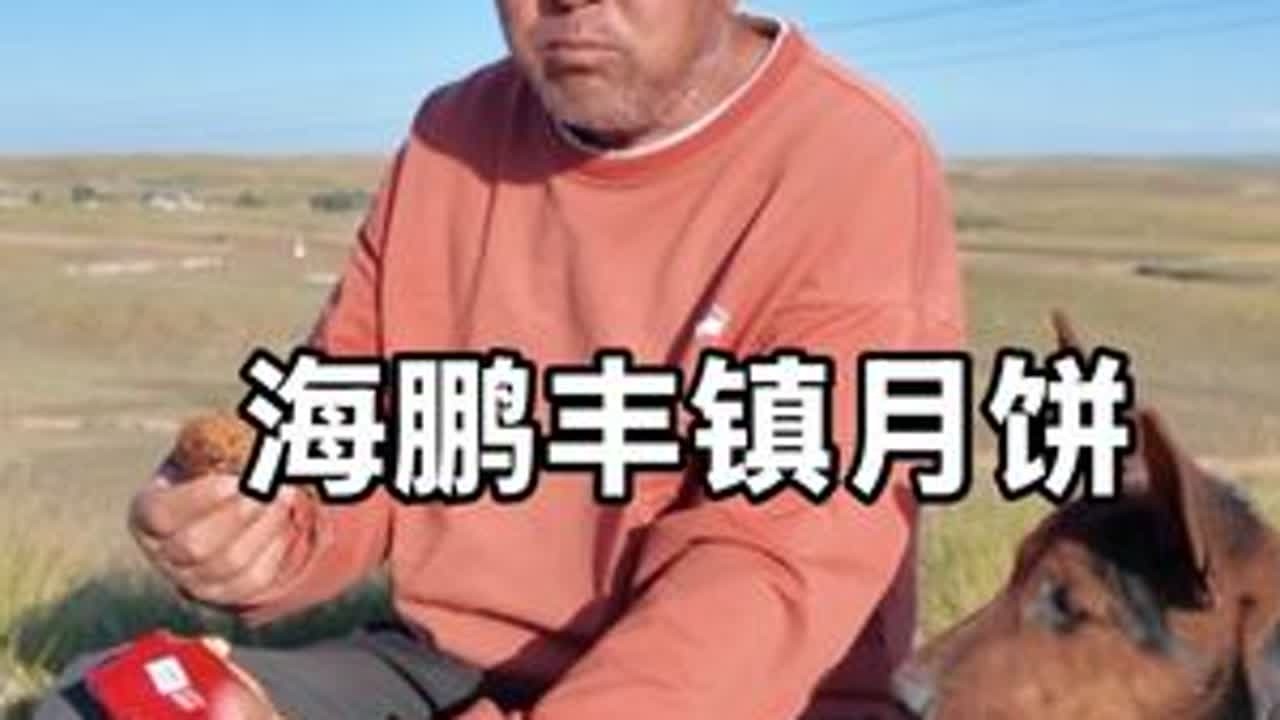 这个月饼挺好吃，多种口味可选#父亲 #海鹏月饼 #丰镇月饼 #乡村生活