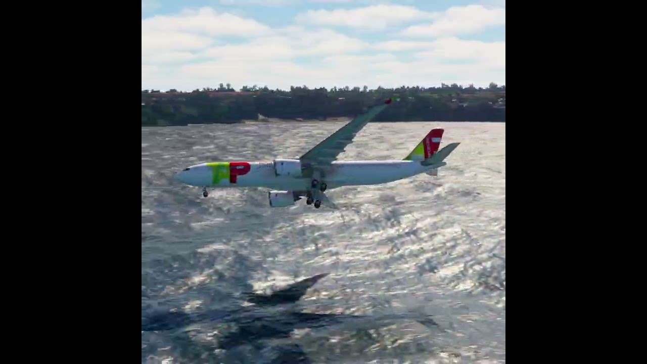 the carelessness of an airplane pilot 0256