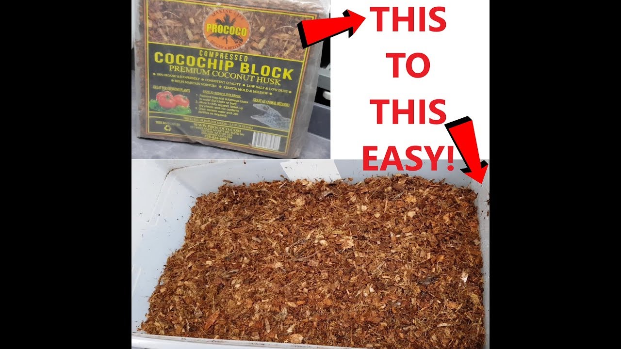 How to break apart your coconut bedding brick. Easy!