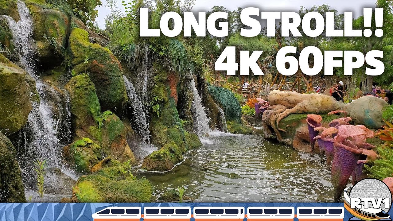 Long Relaxing Stroll at Disney's Animal Kingdom in 4K 60fps - No Narration - Walt Disney World