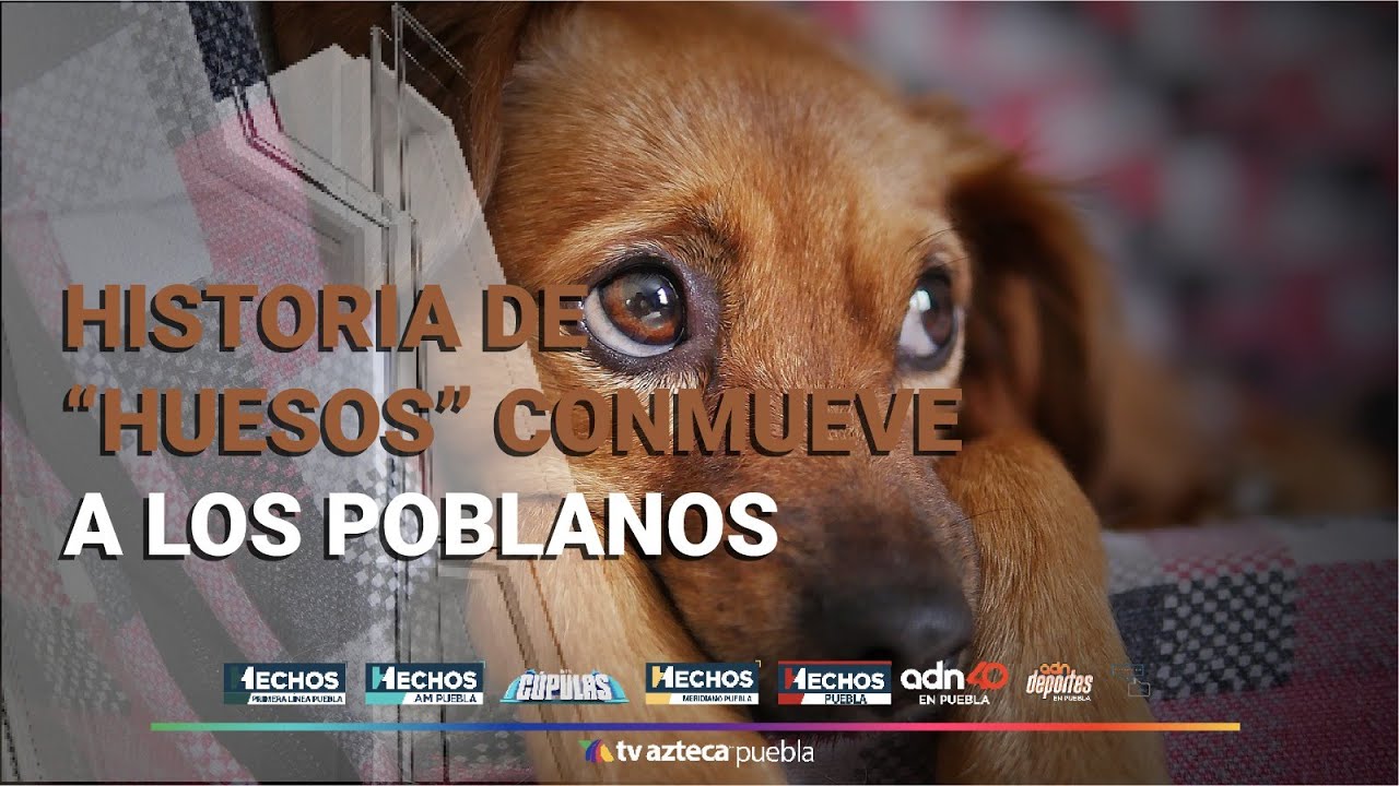 Historia de 'Huesos' conmueve a poblanos