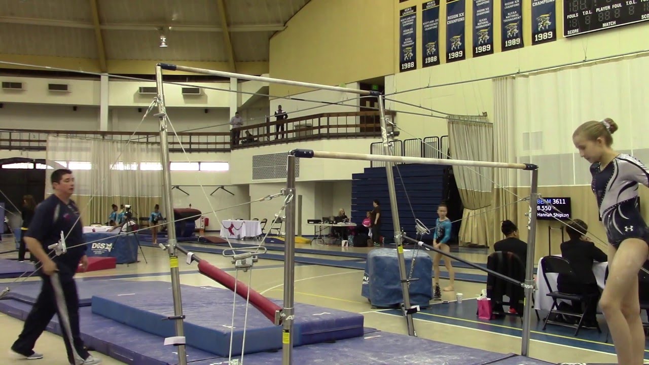 Level 6 Gymnastics - Bars 2: BCG Valentine Invitational - Session 3