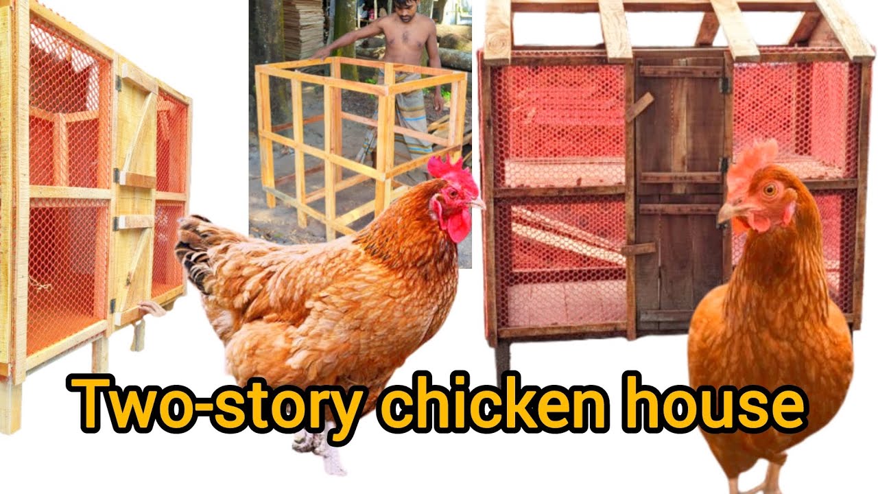 How to Make Two-Story Chicken House | making chicken coop full video #twochicekncoop #woodworking 